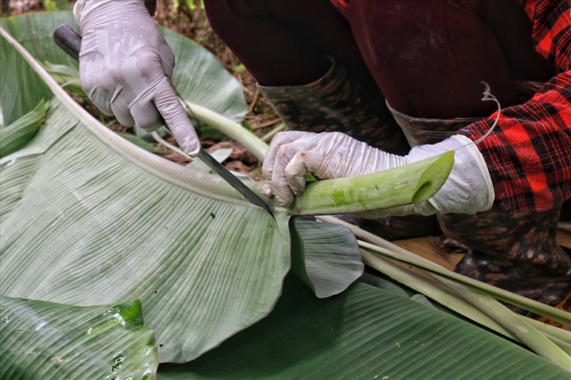 Bí quyết làm bánh tráng phơi sương ủ lá chuối